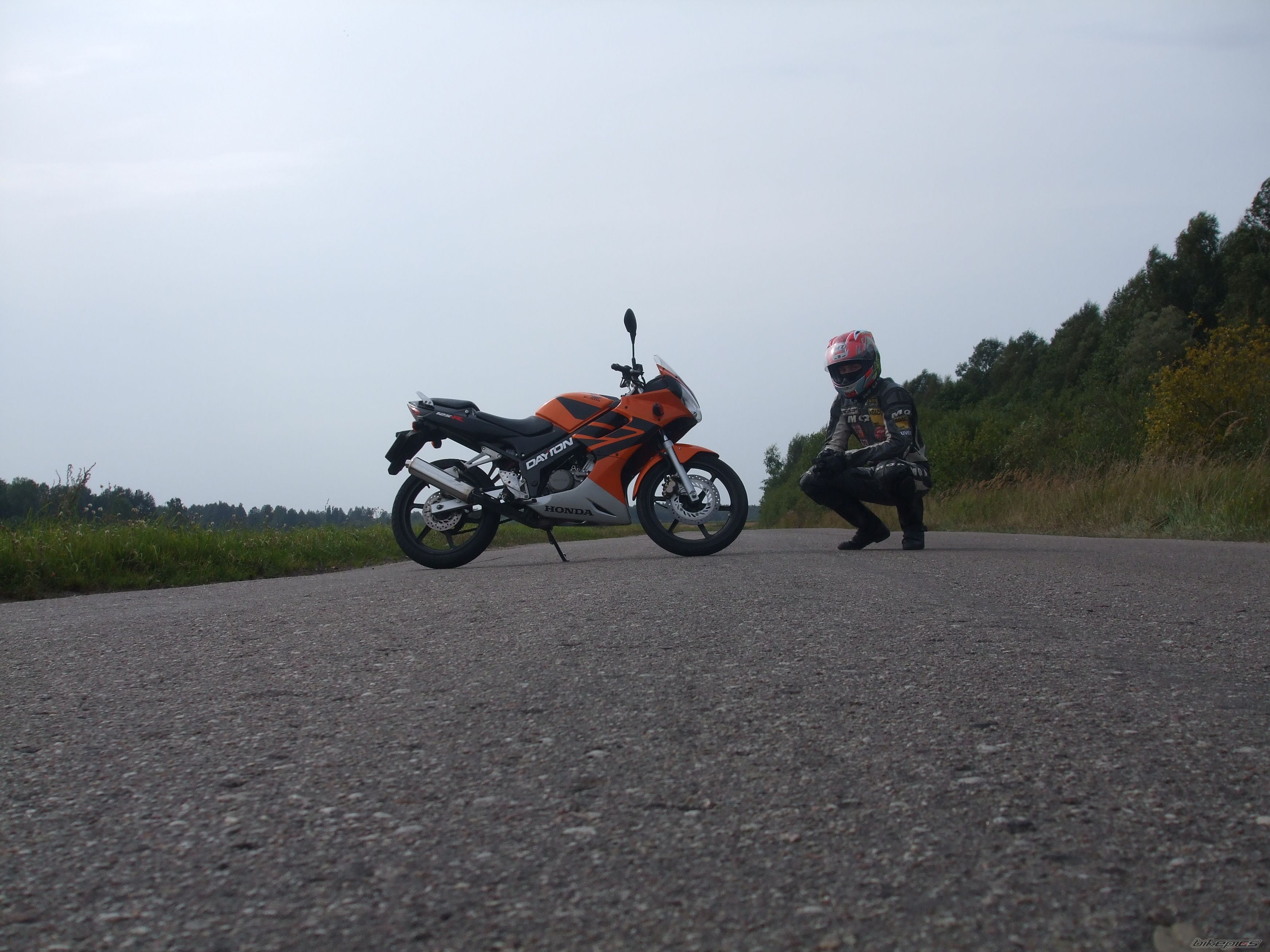 Photo 1773835