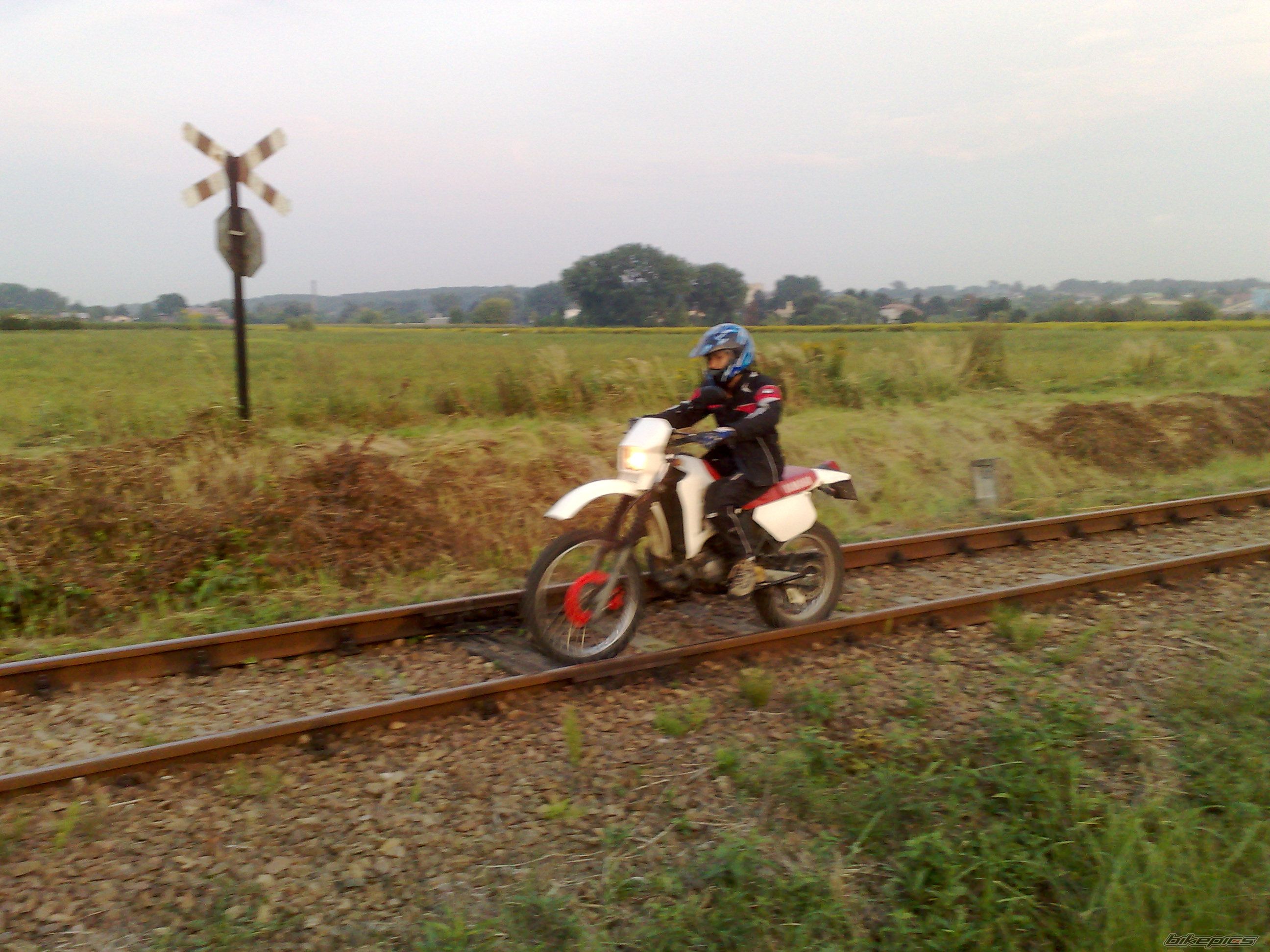 Photo 1774014