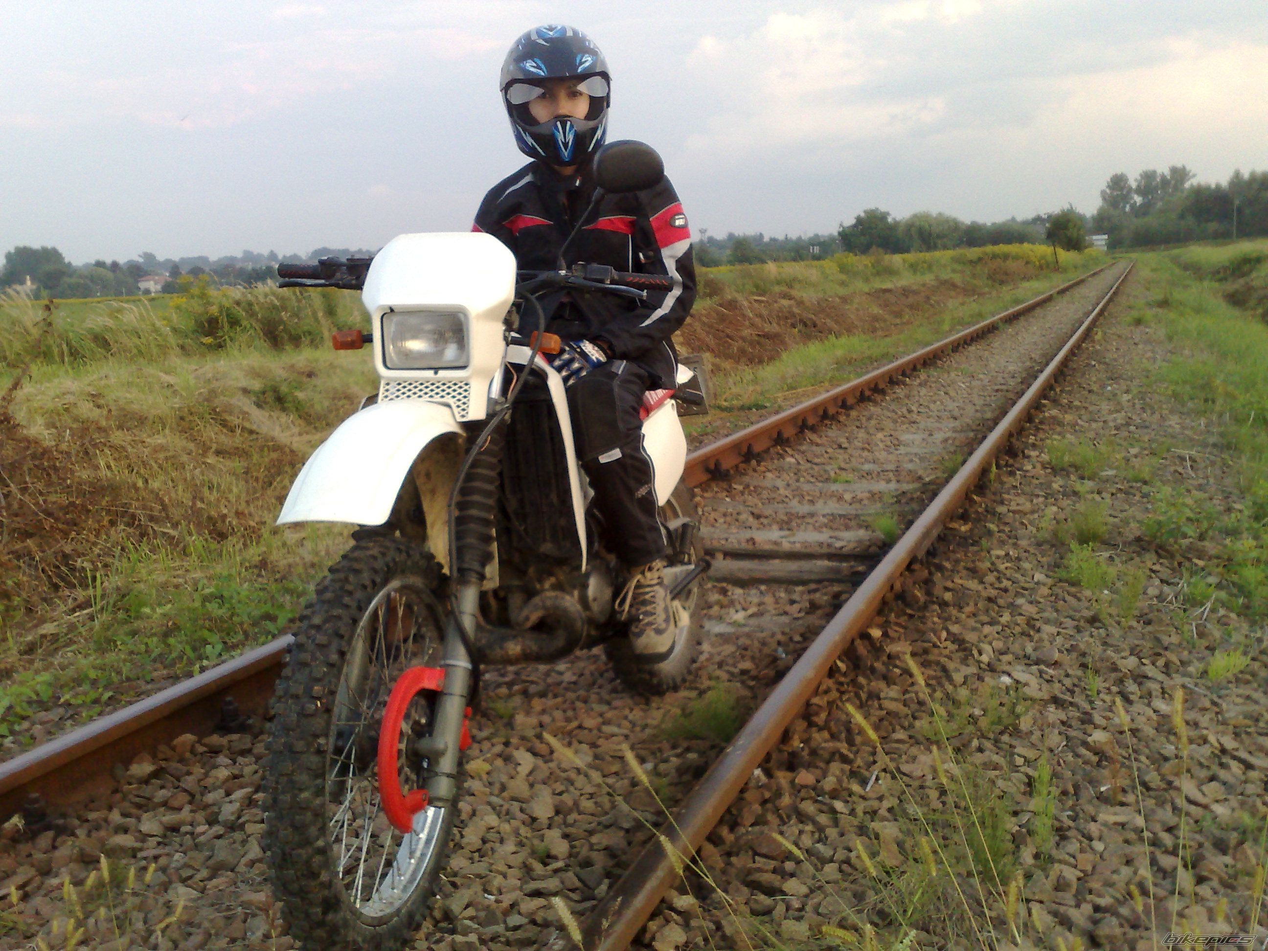 Photo 1774017