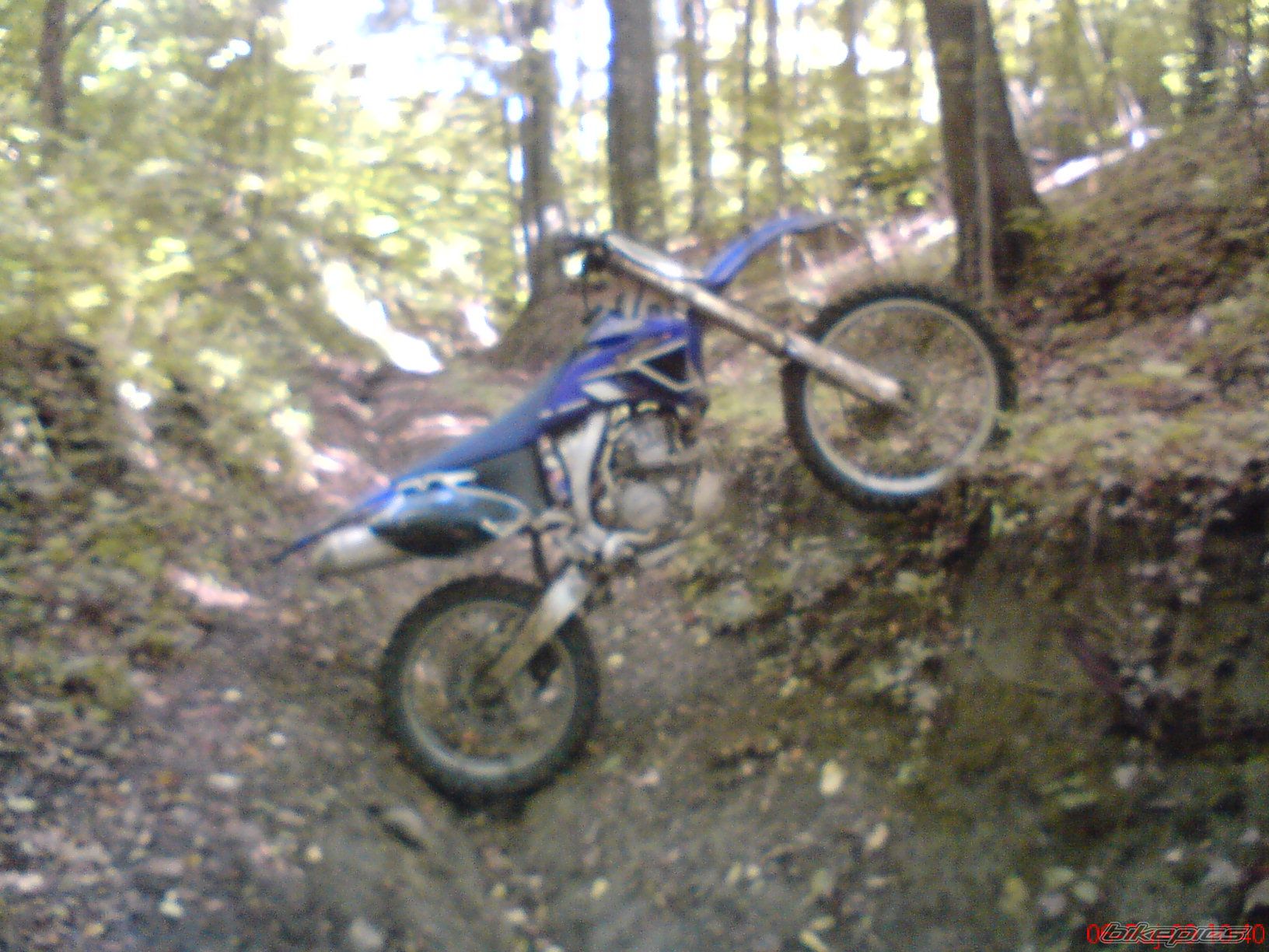 Photo 1774047