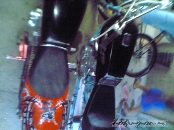 Photo 1774135