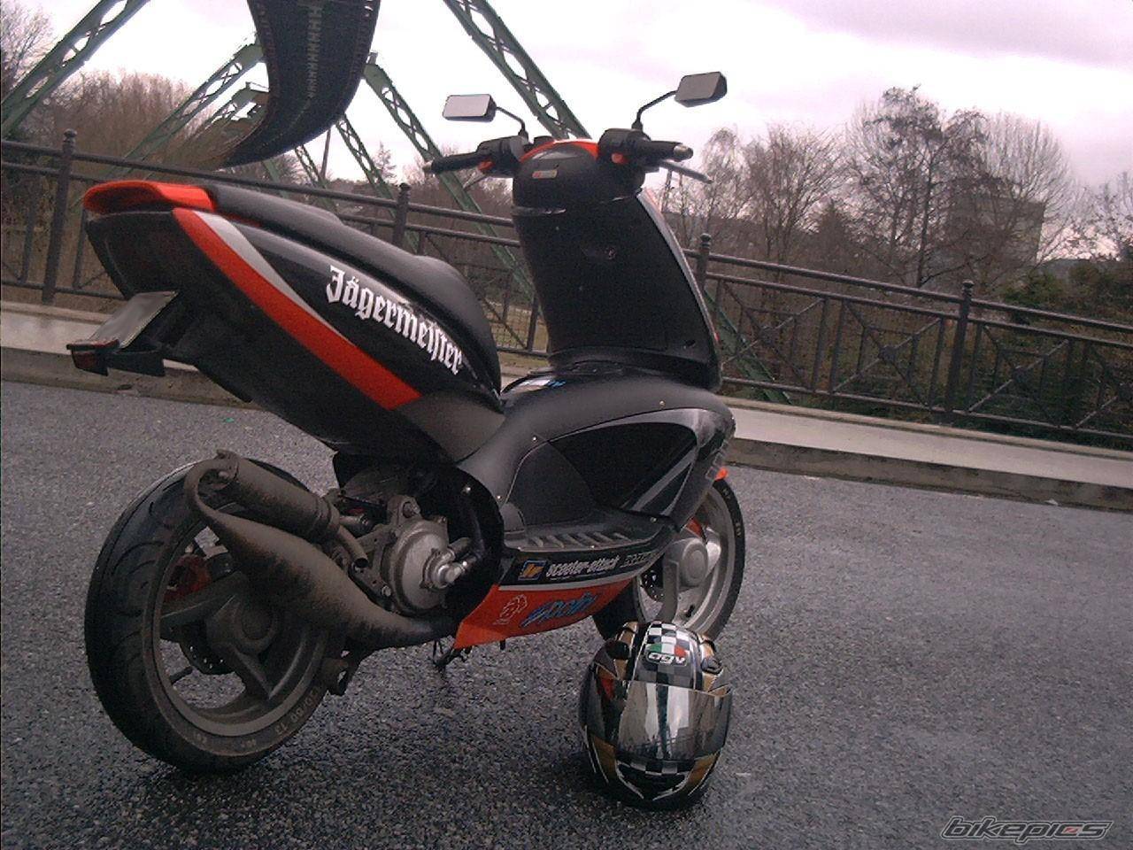 Photo 17742
