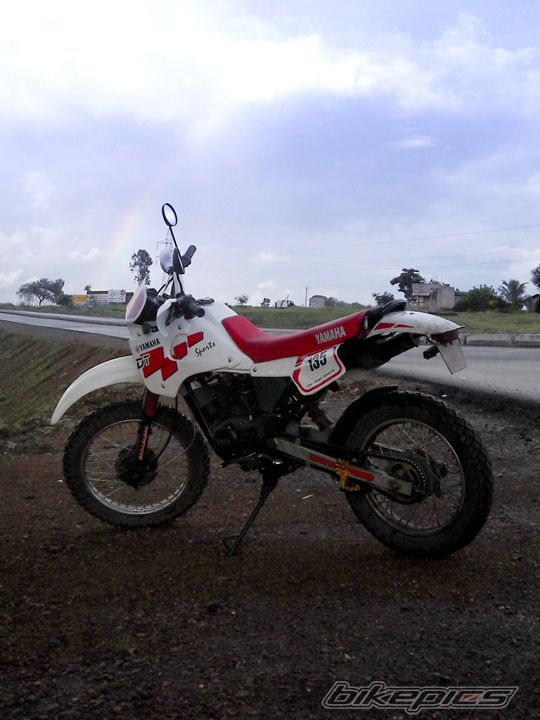 Photo 1774371