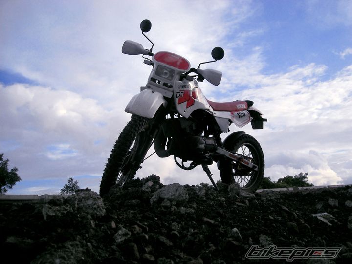 Photo 1774373