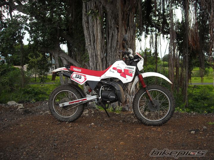 Photo 1774376