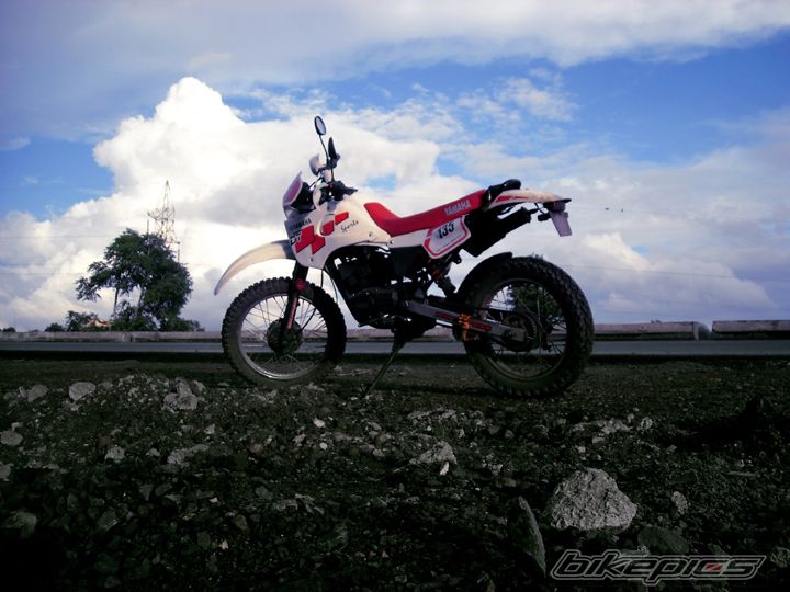 Photo 1774379