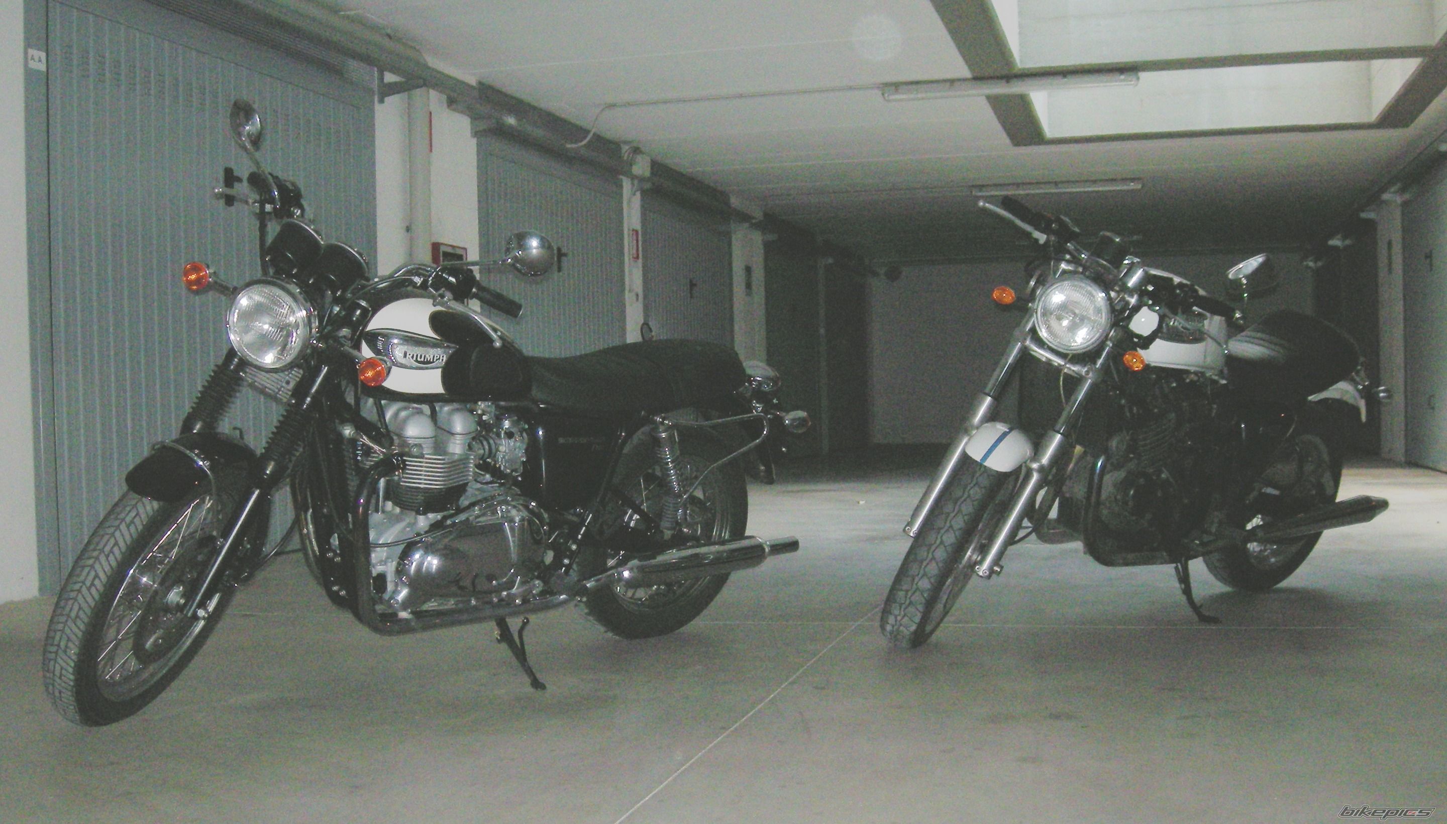 Bike Photo 1774387