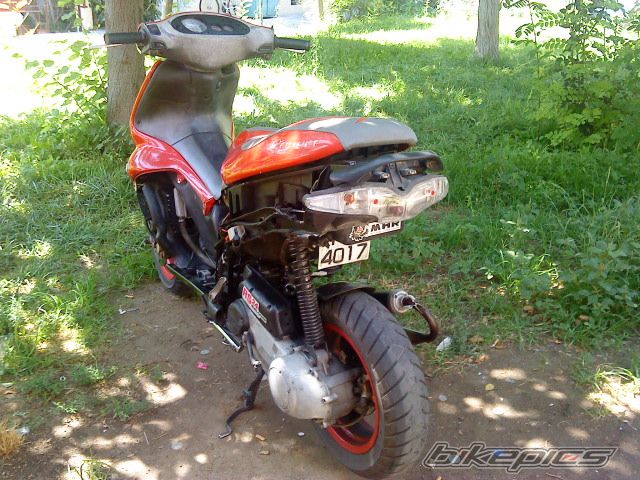 Photo 1774405