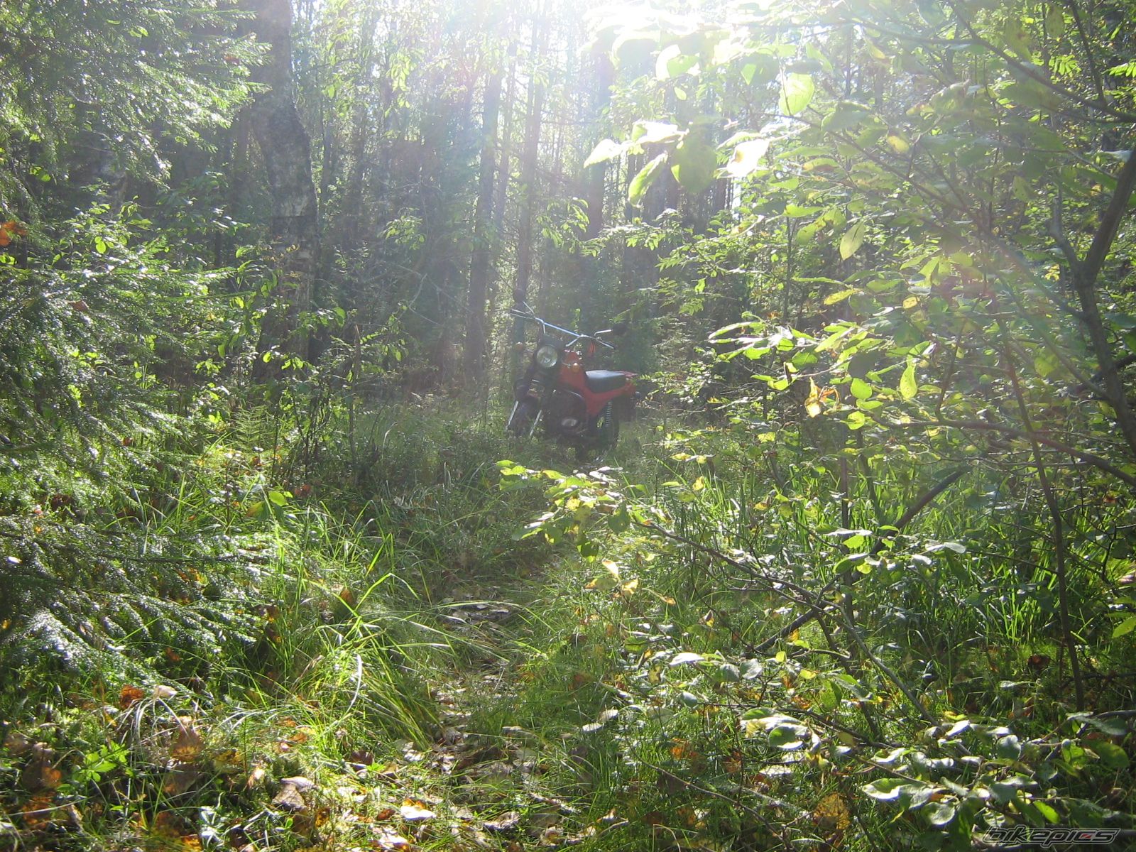 Photo 1774623