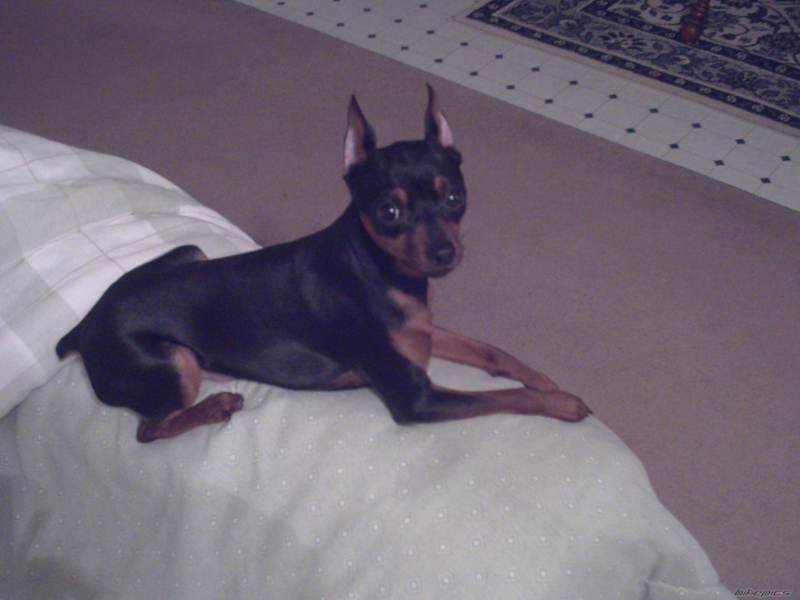 Photo 1774624