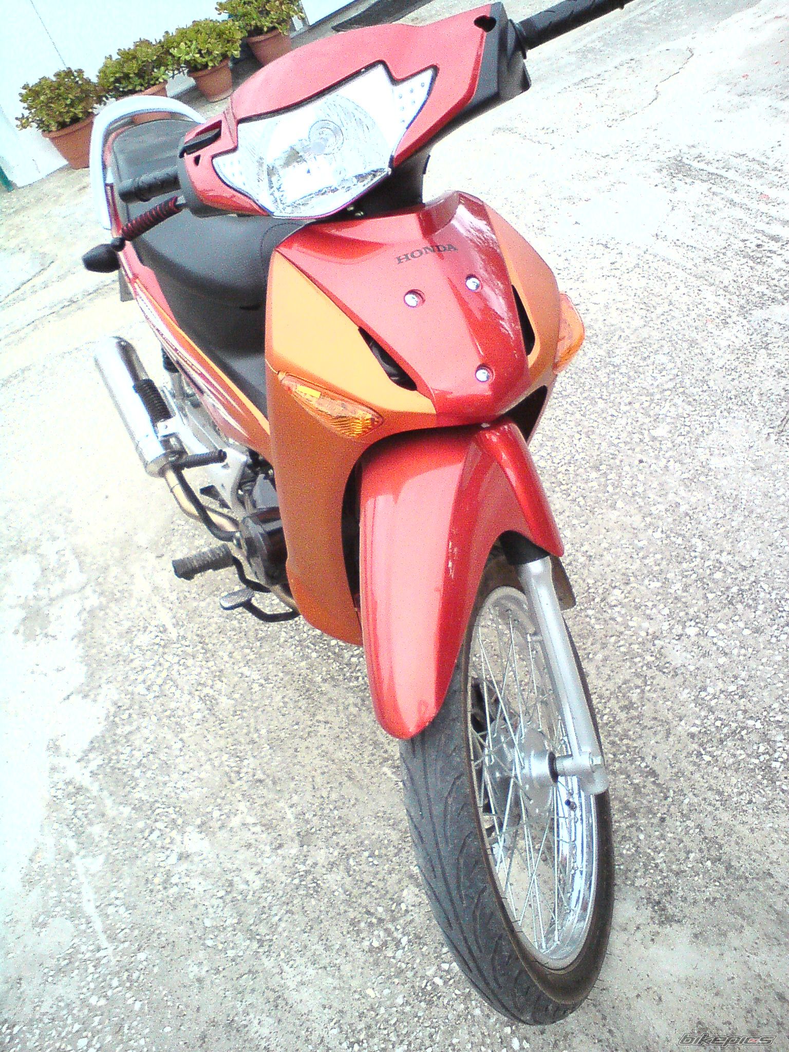 Photo 1774704