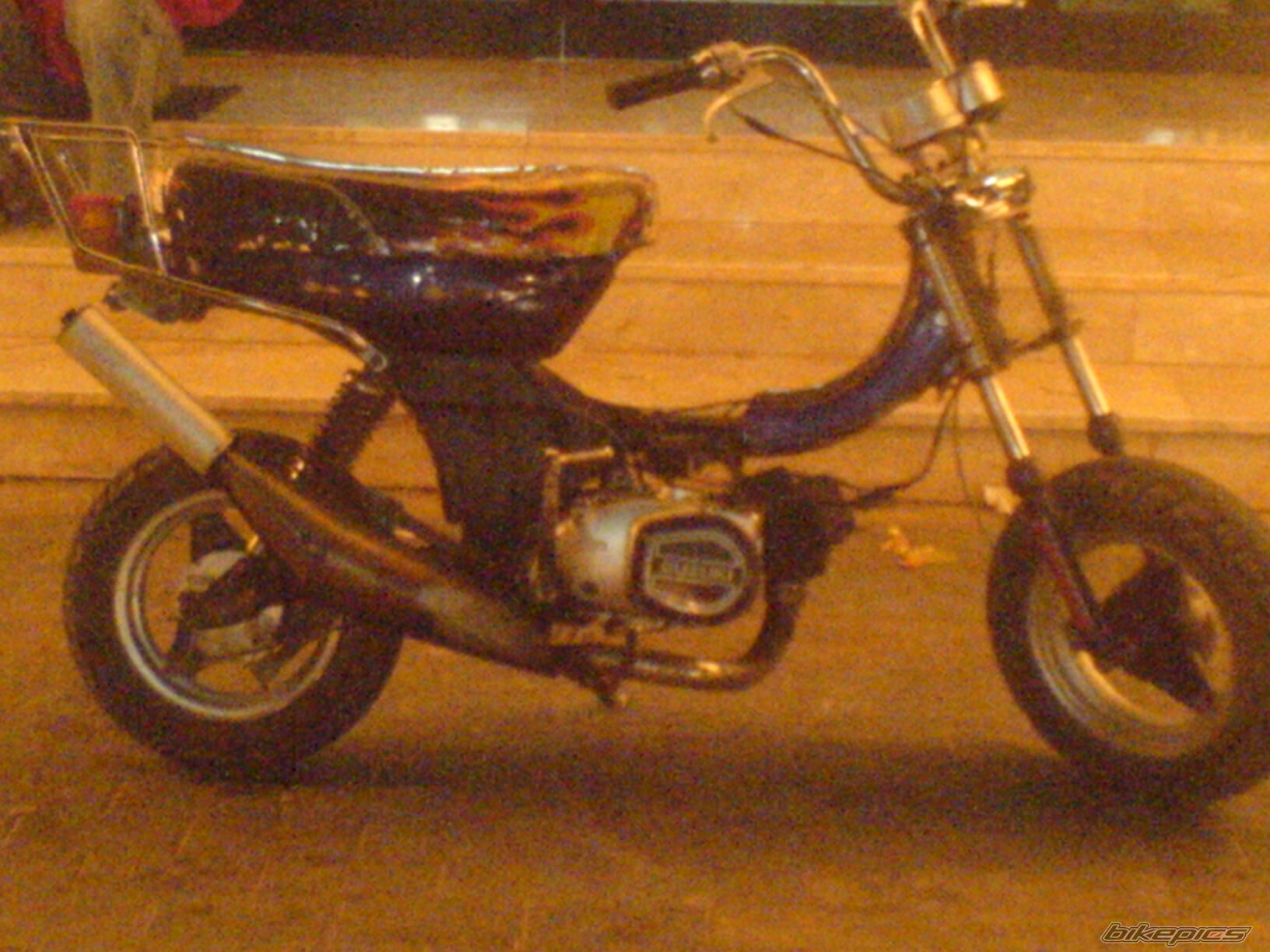Photo 1774742