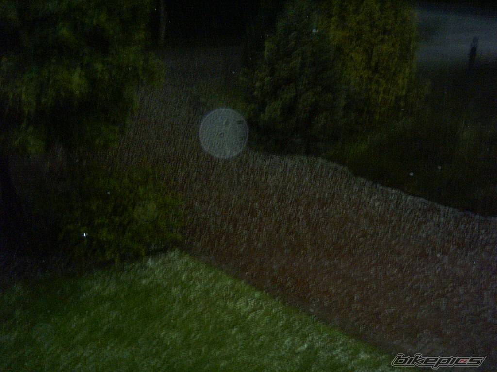 Photo 177475