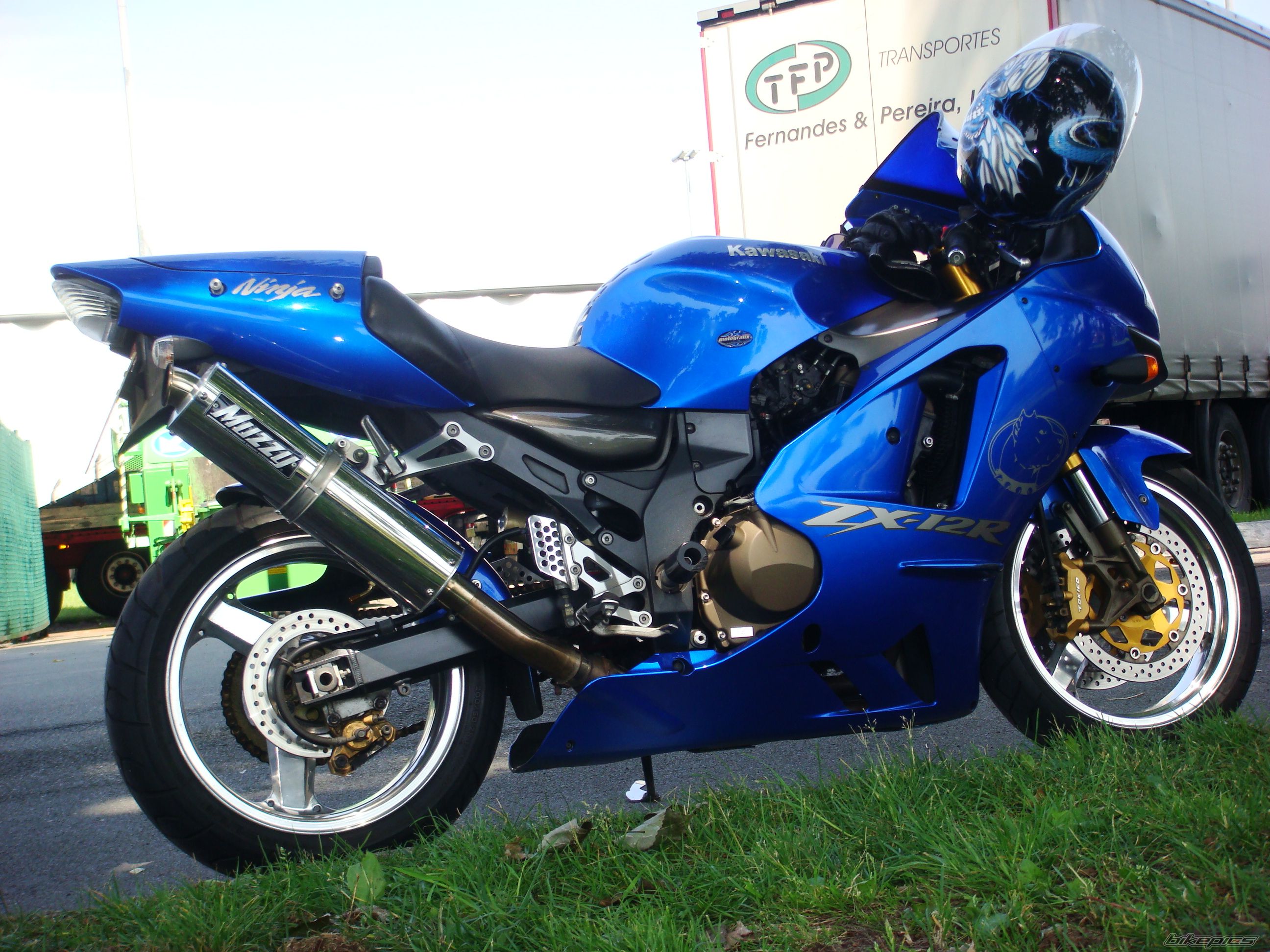 Photo 1774768