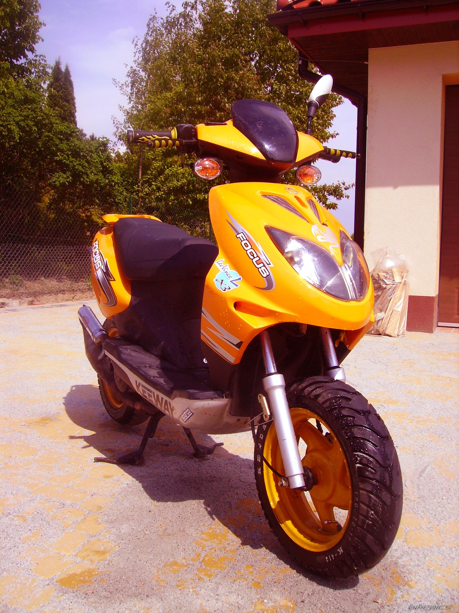 Photo 1774784