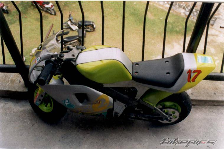 Photo 177493