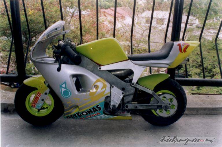 Photo 177494