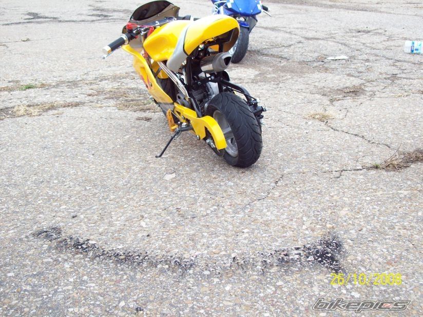 Photo 1775153