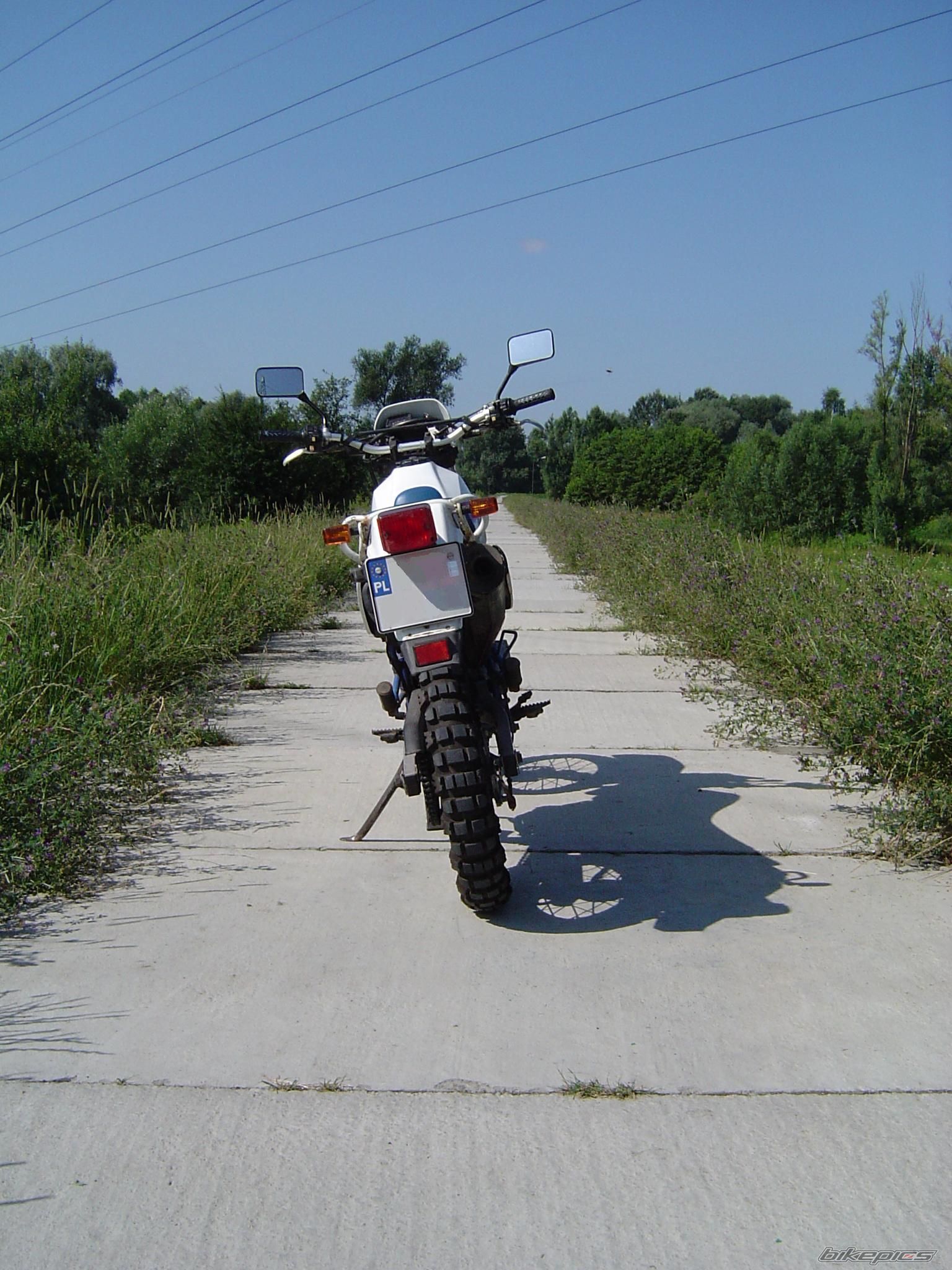 Photo 1775166