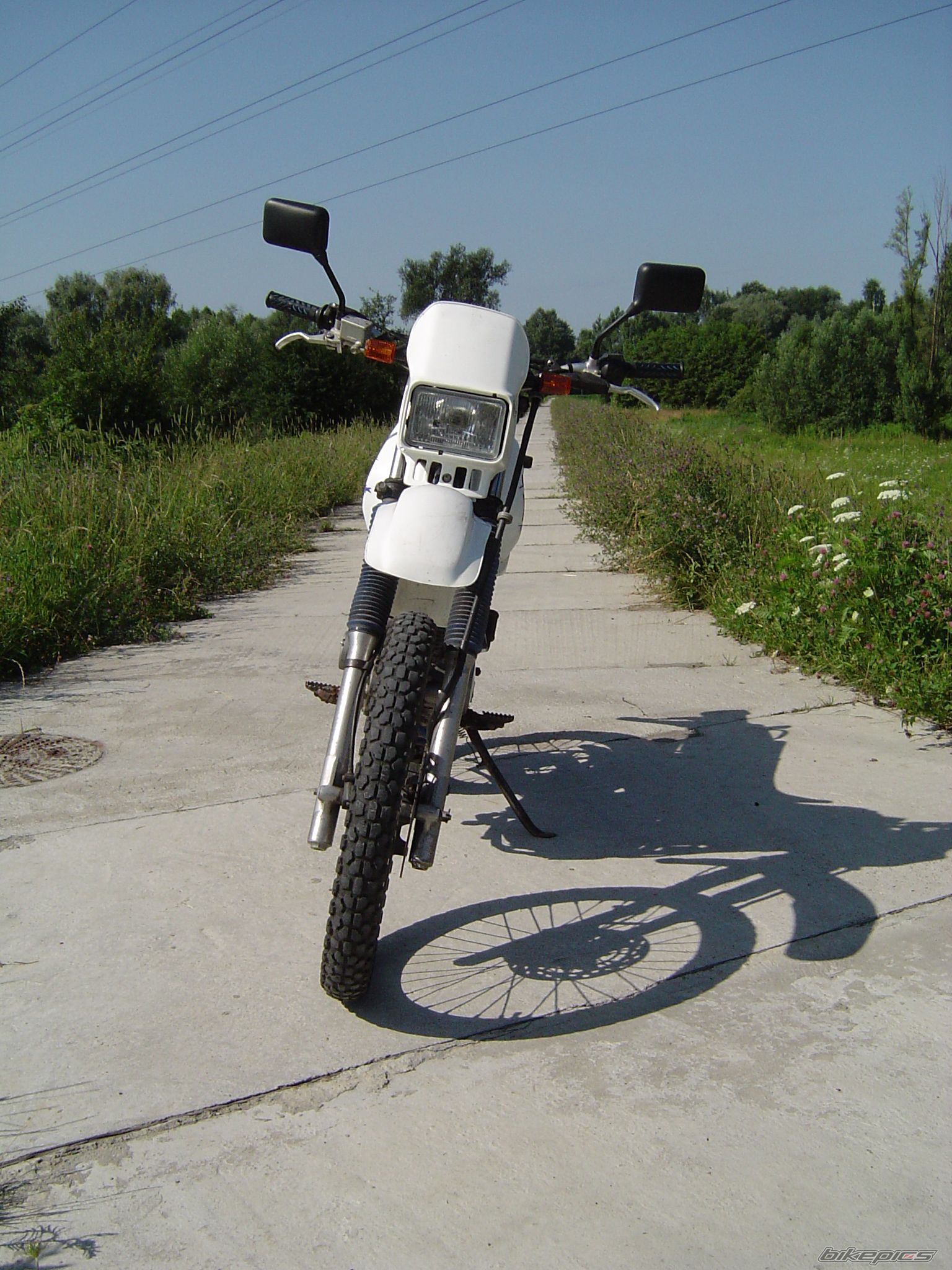 Photo 1775168