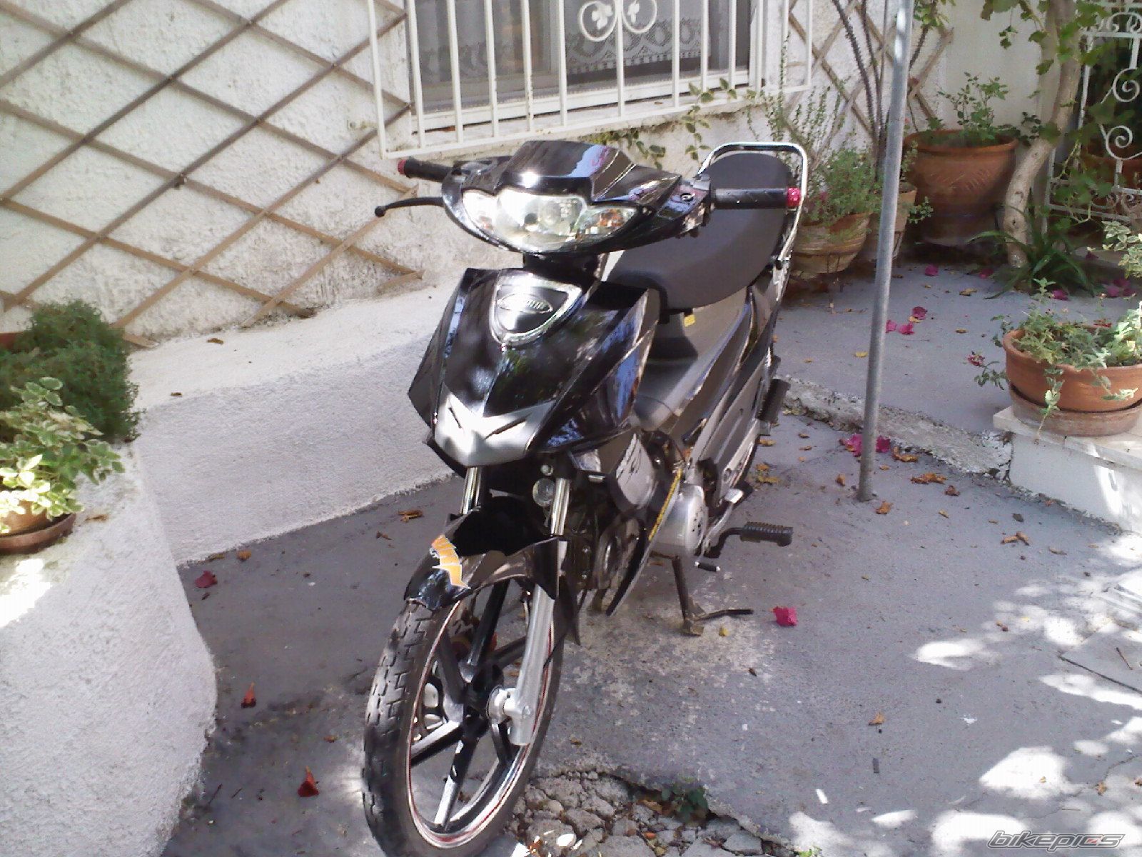 Photo 1775275