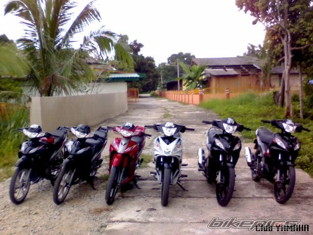 Photo 1775579