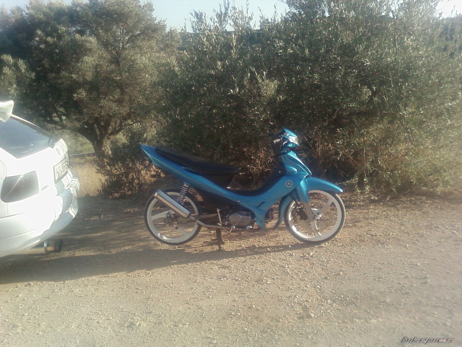 Photo 1775659