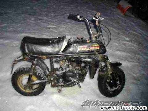Photo 177568