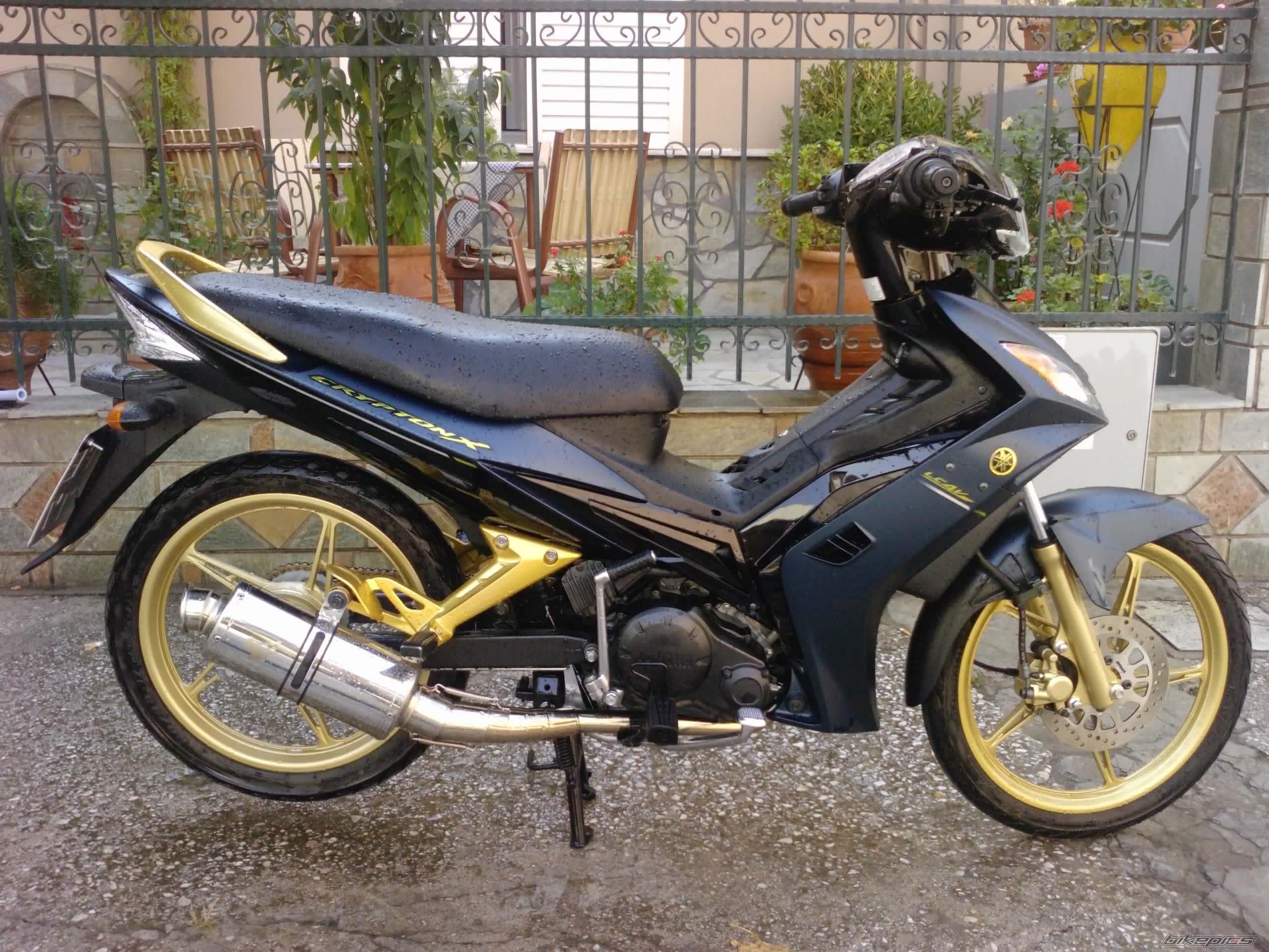 Photo 1775767