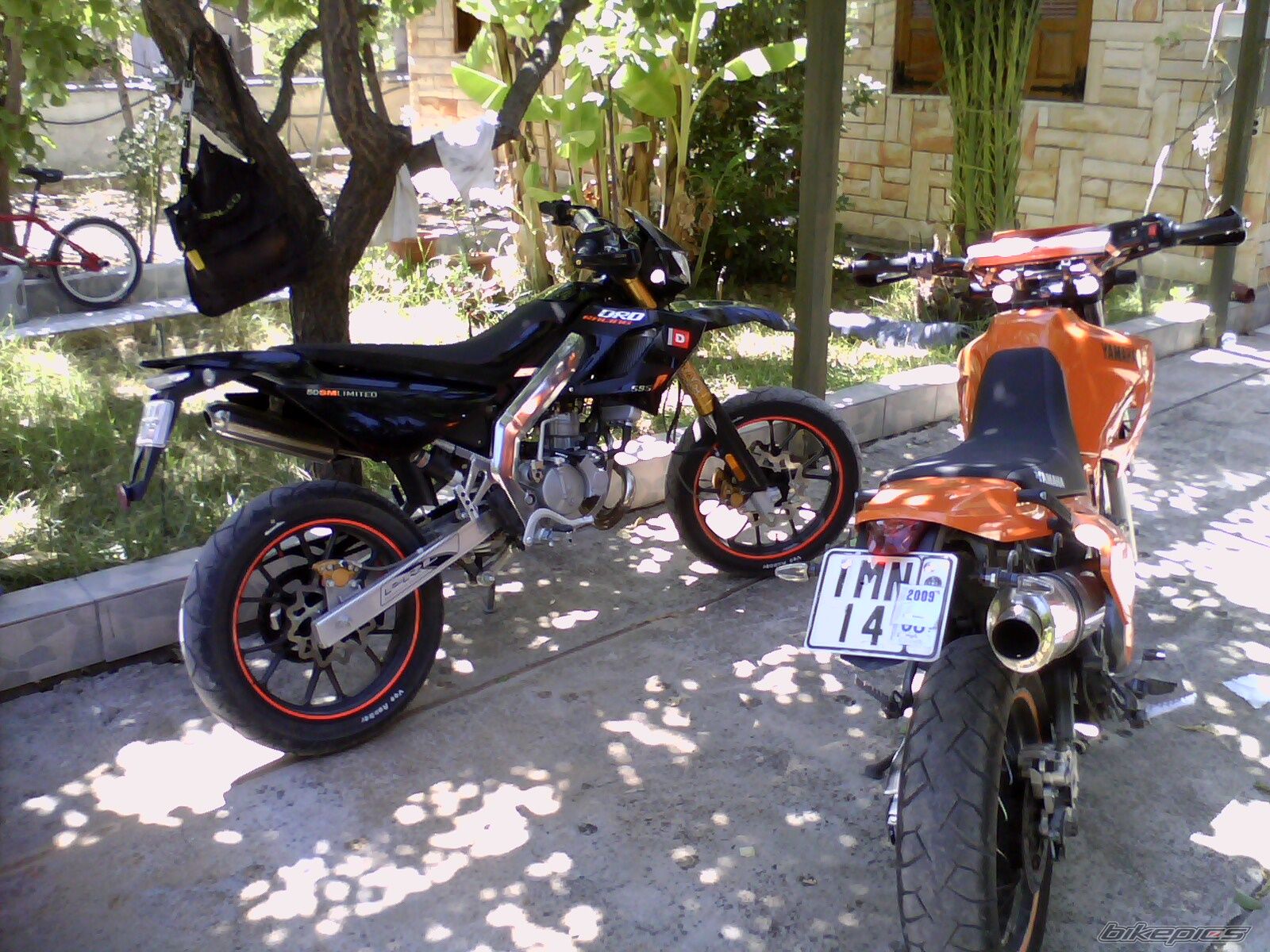 Photo 1775925