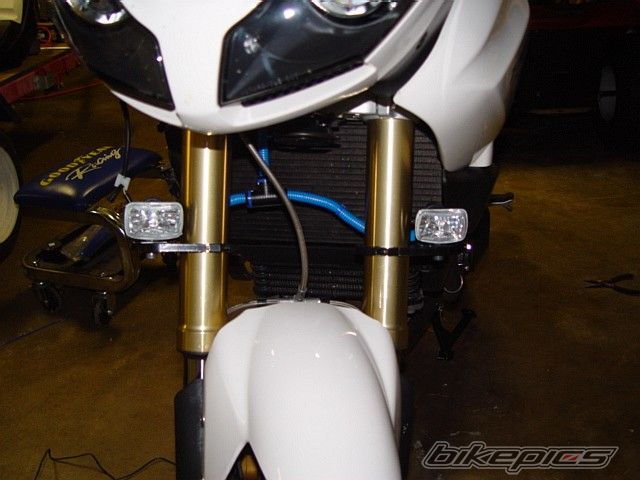 Photo 1775989