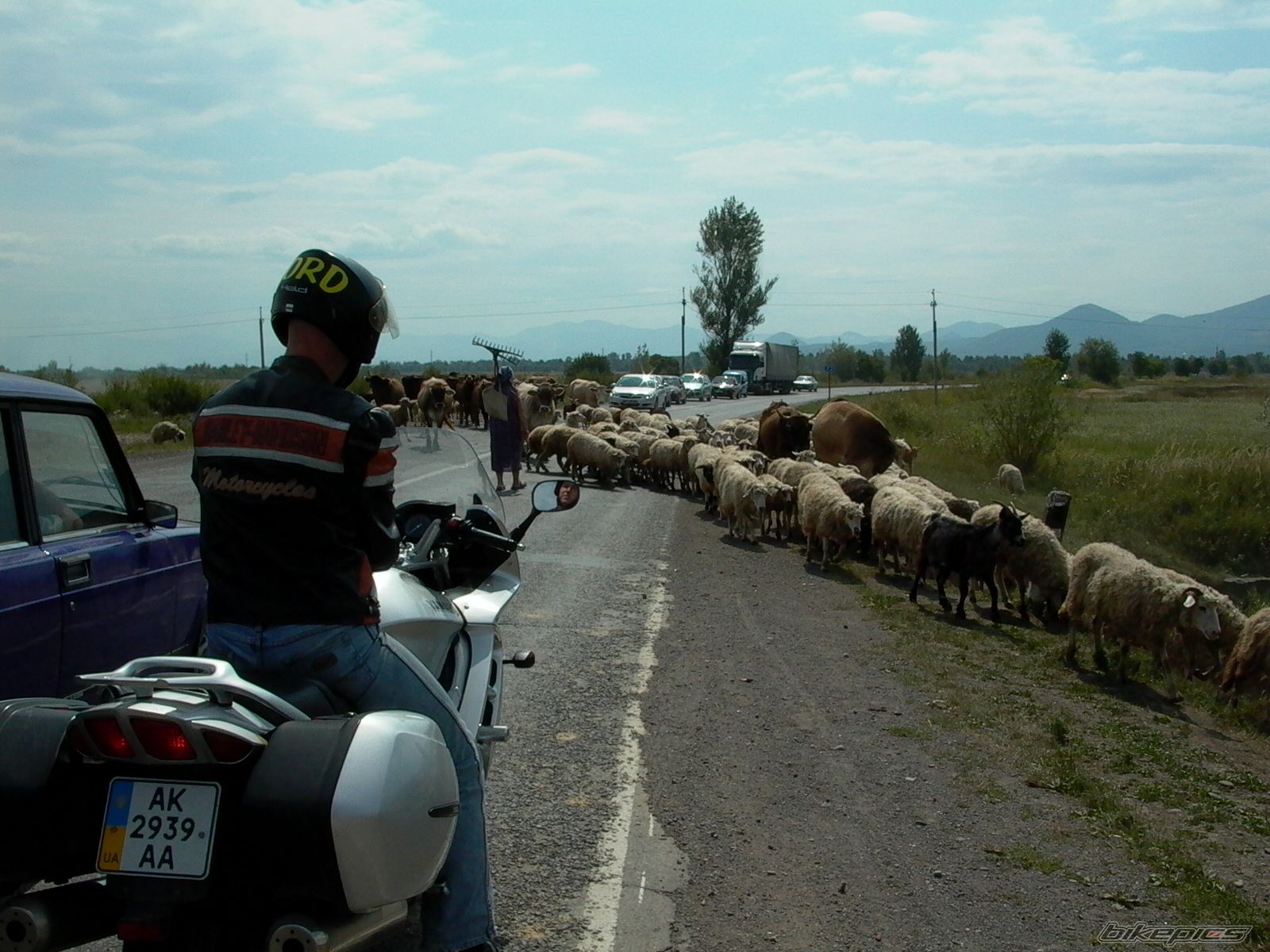 Bike Photo 1776103