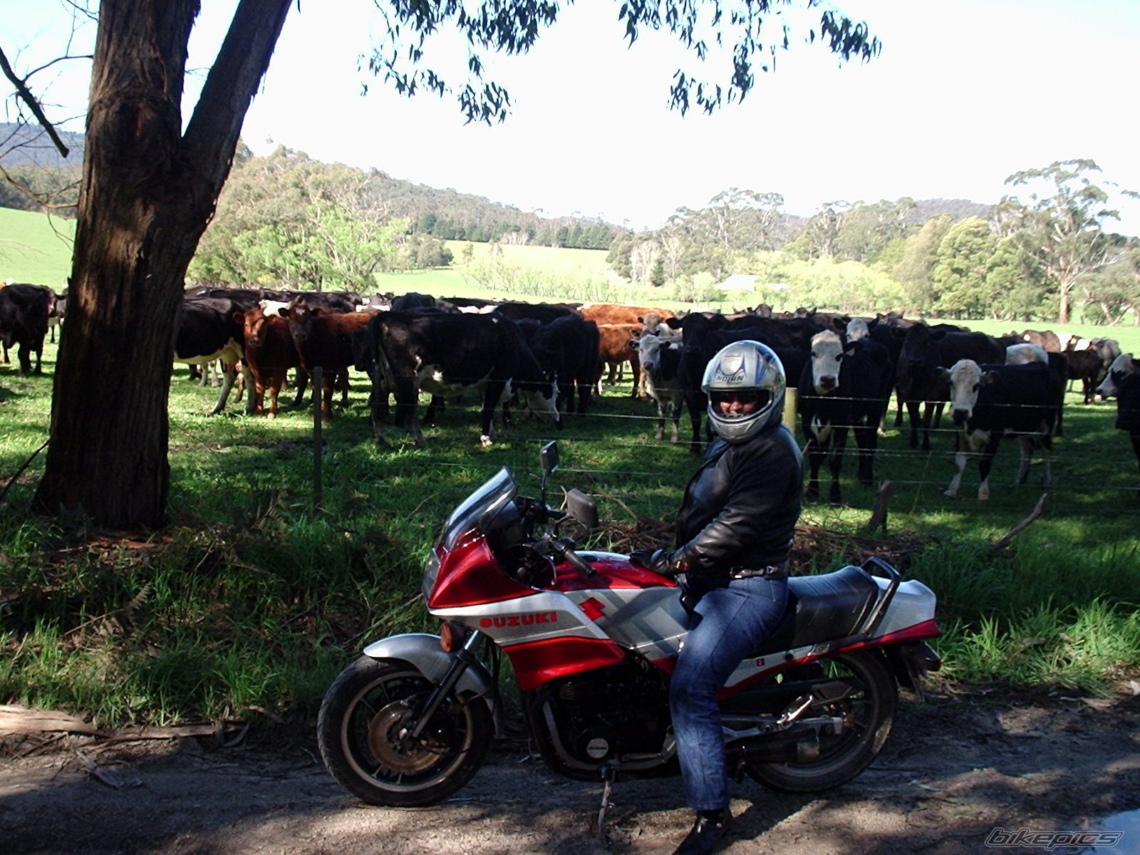 Bike Photo 1776126