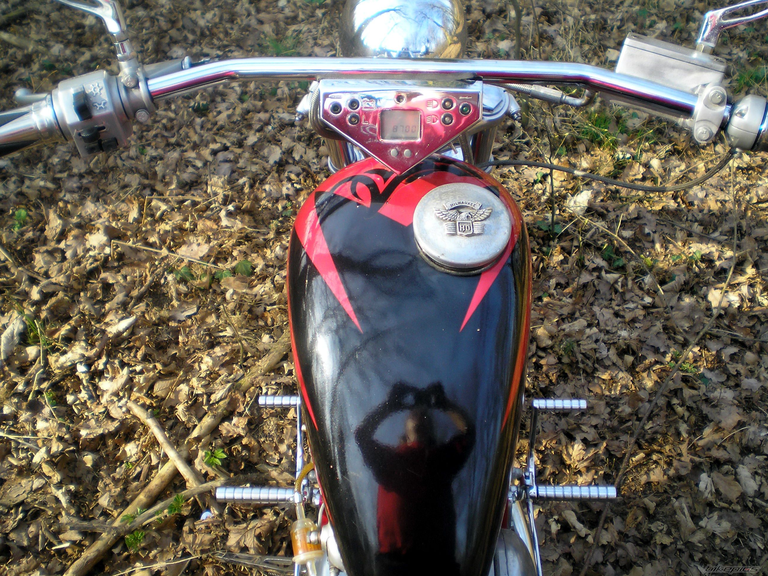 Photo 1776425