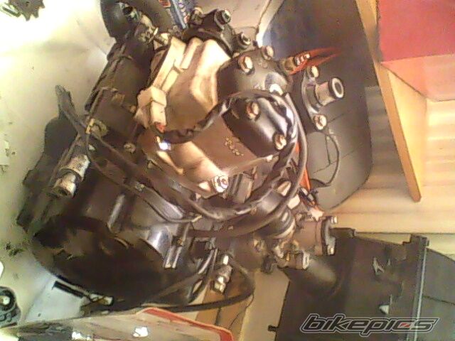 Bike Photo 1776453