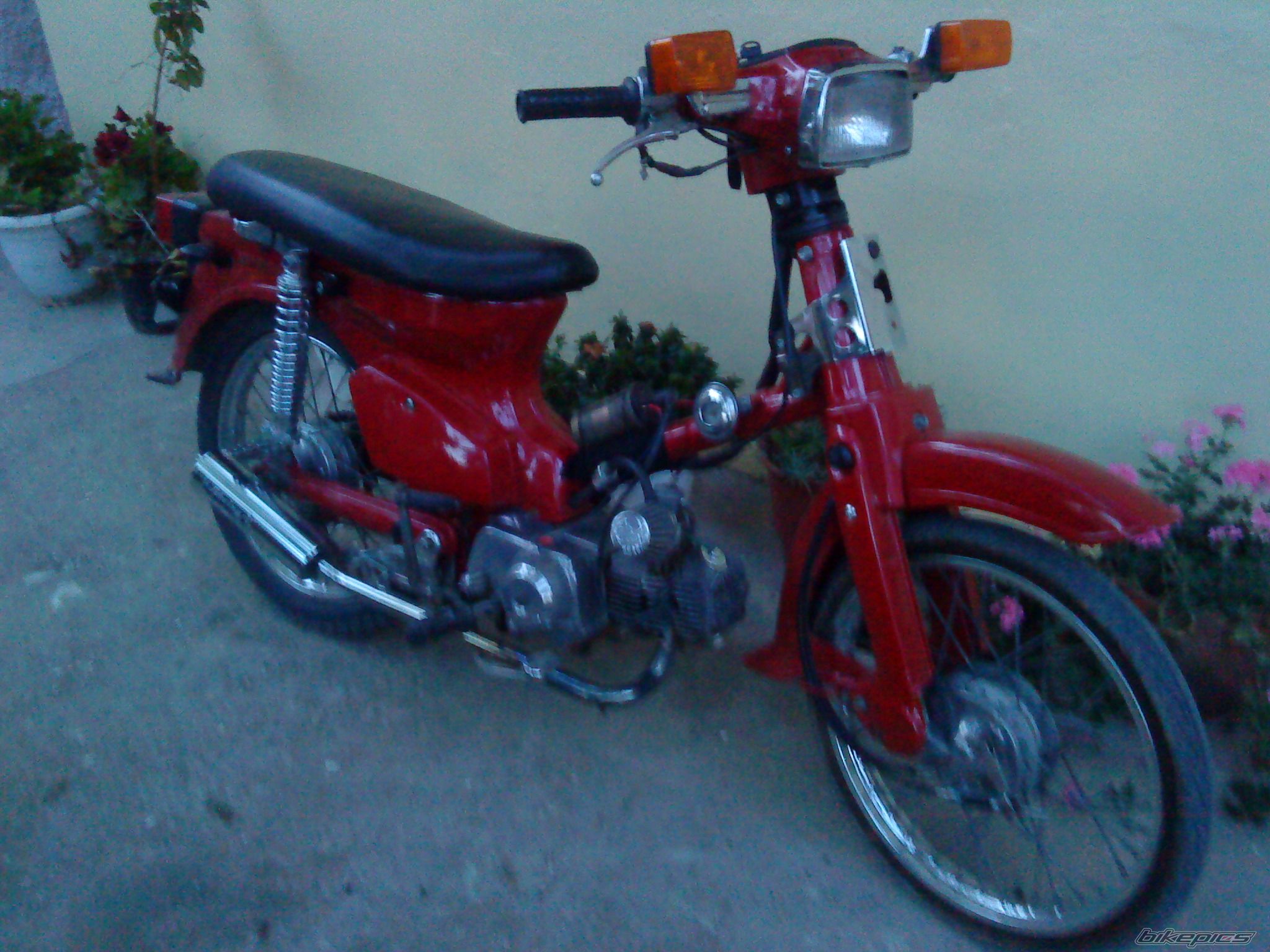 Photo 1776502