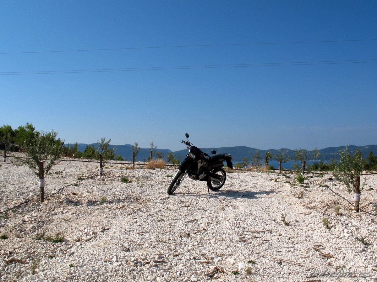 Photo 1776524