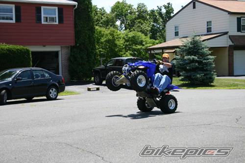 Photo 177664