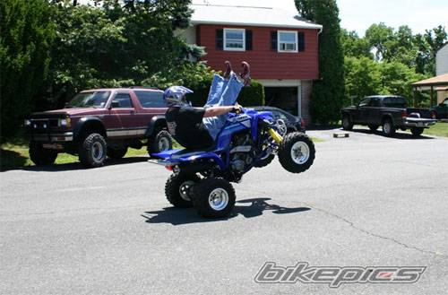 Photo 177667