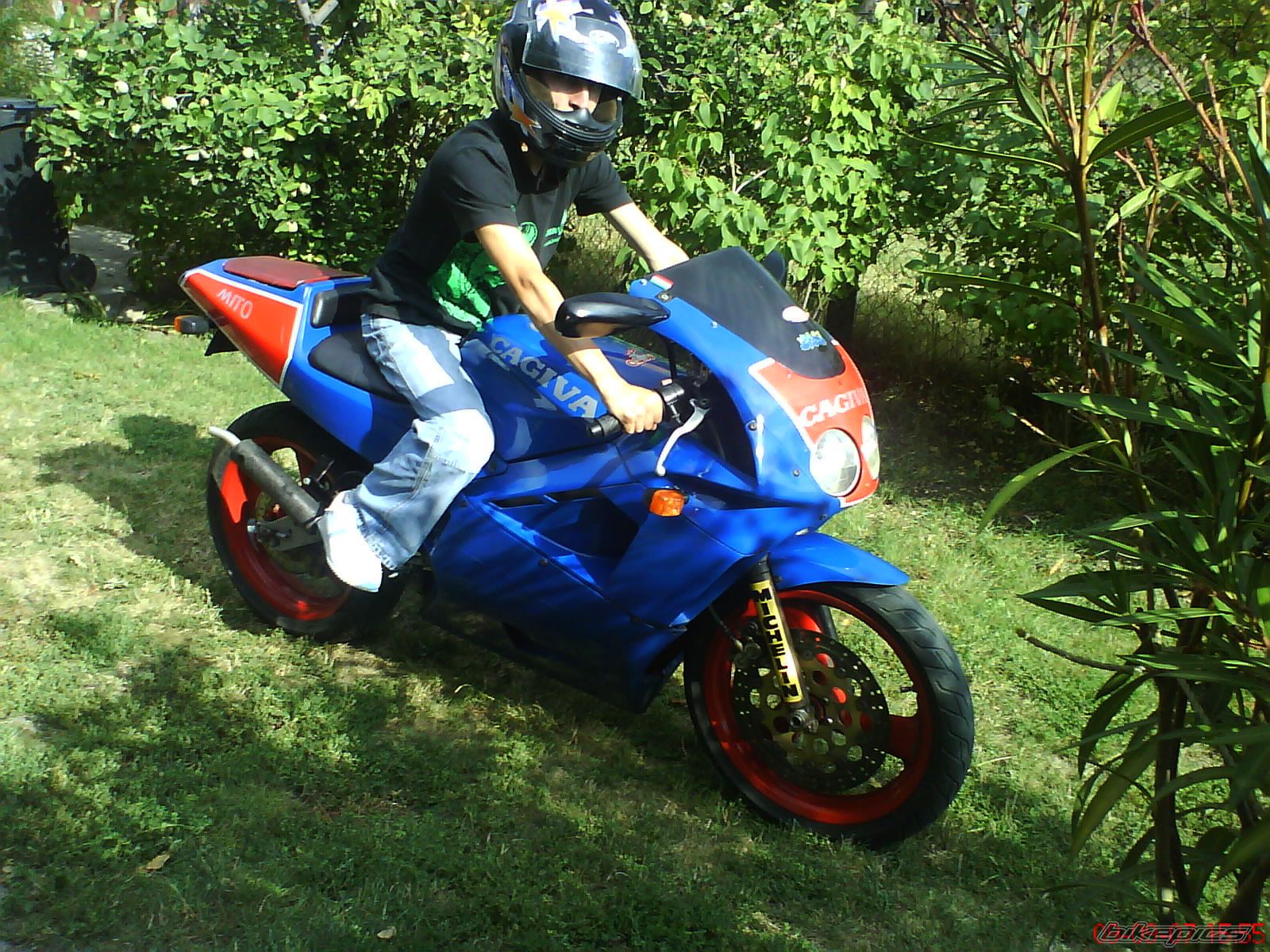 Photo 1776773