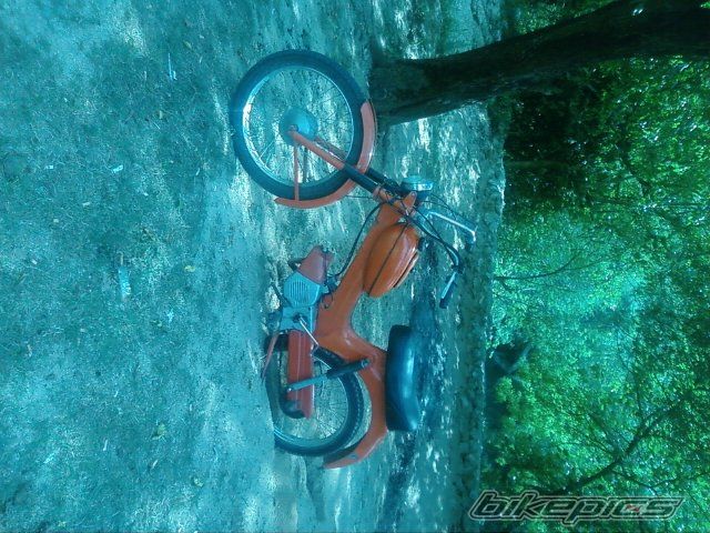 Photo 1776941