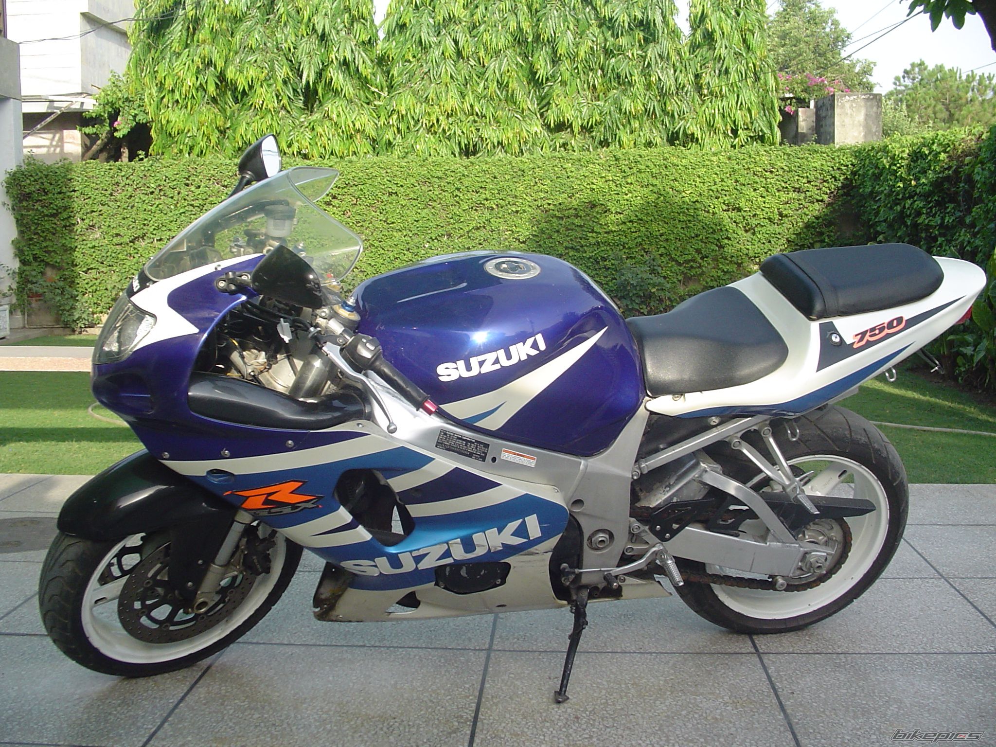 Photo 1777096
