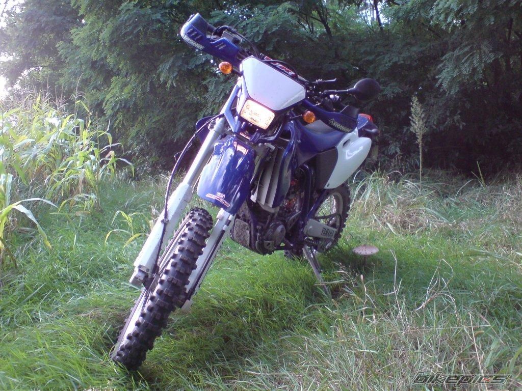 Photo 1777205