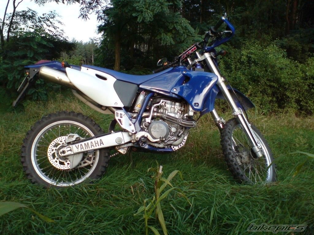 Photo 1777206