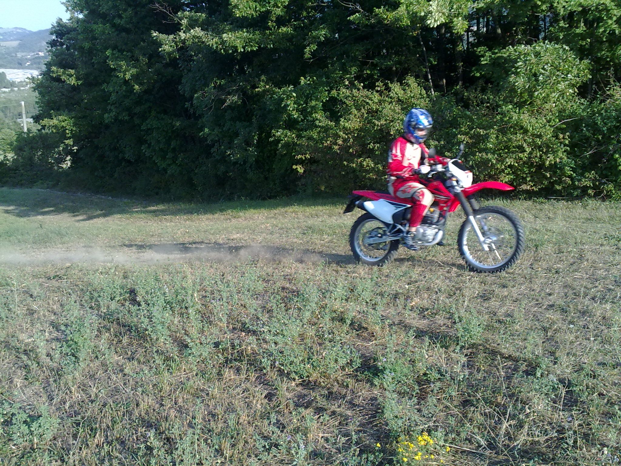 Photo 1777308
