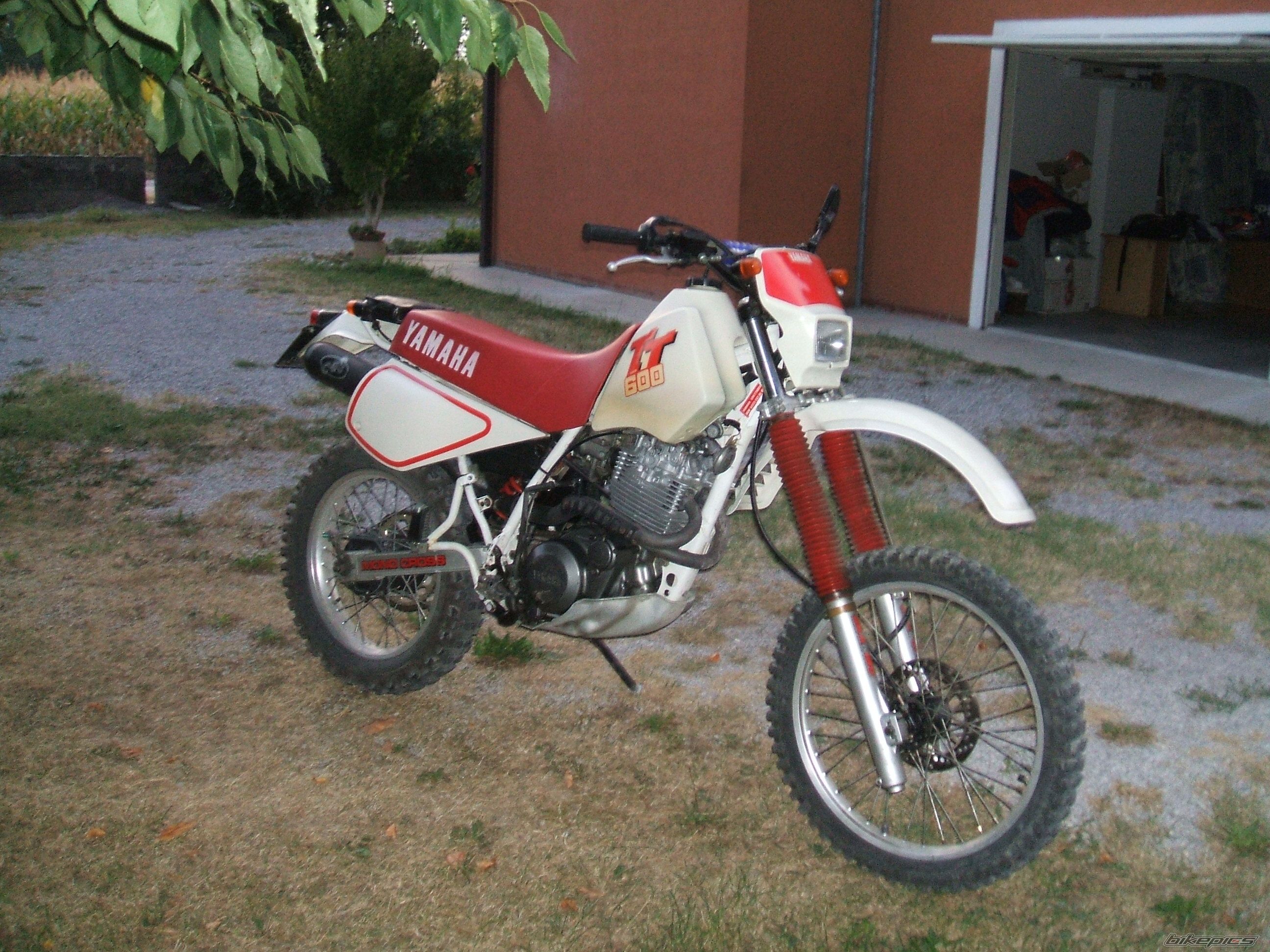 Photo 1777432