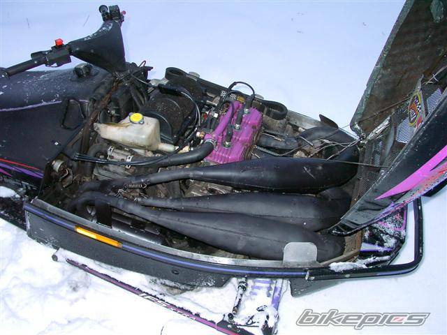 Photo 177745