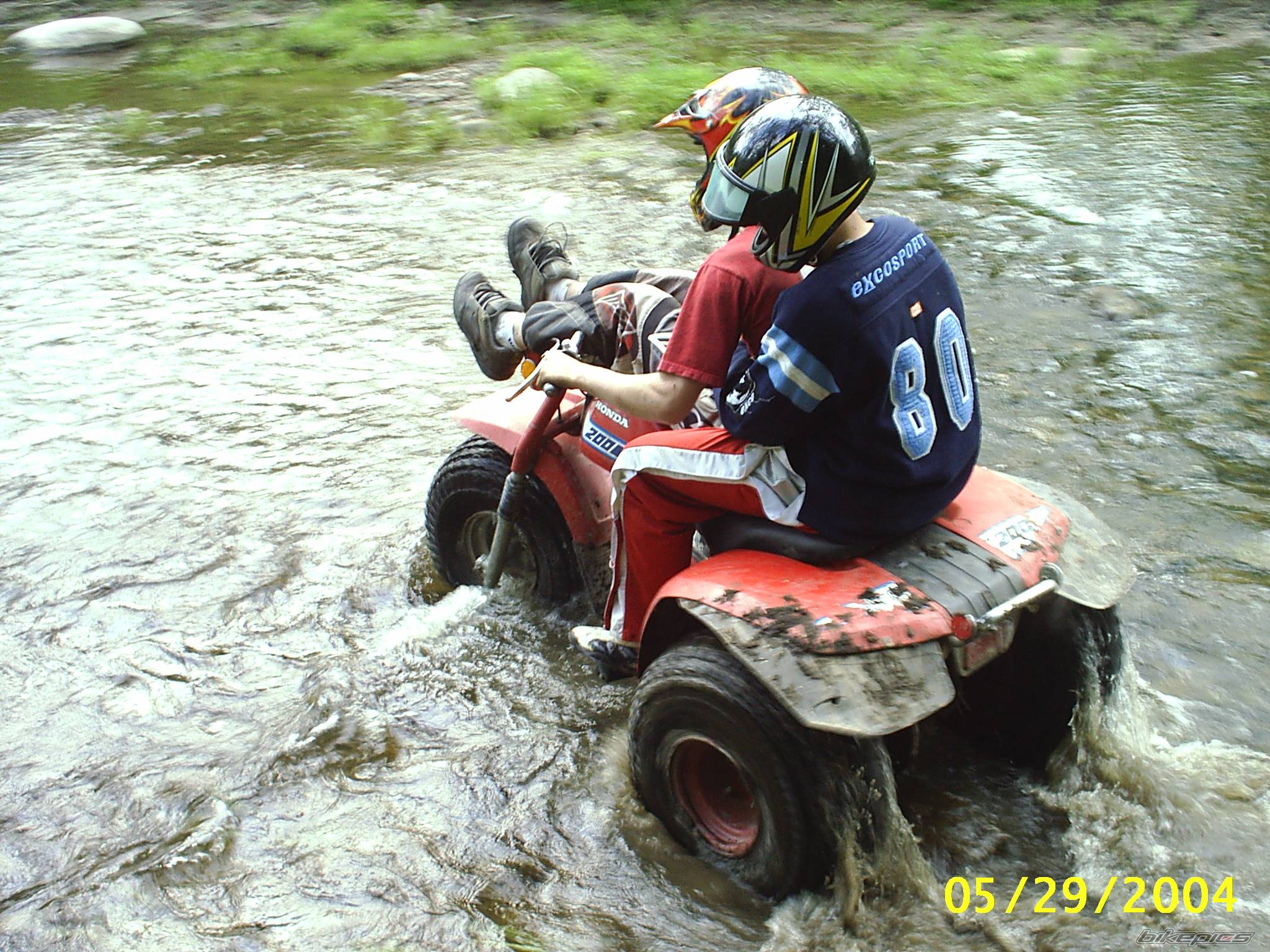 Photo 177747