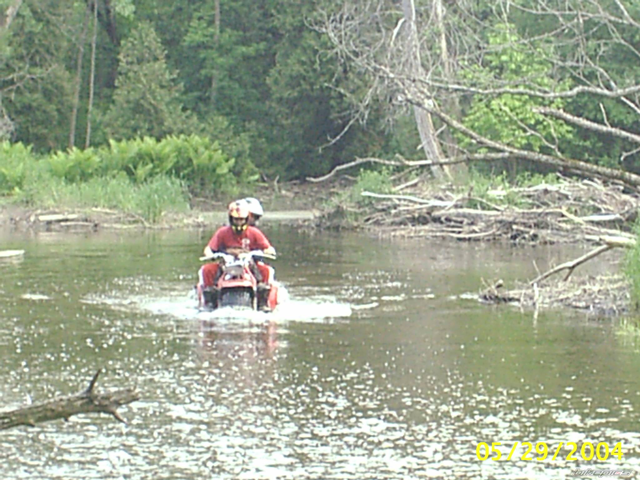 Photo 177748