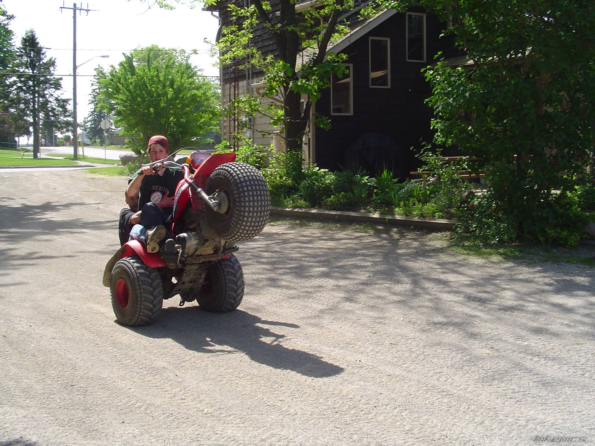 Photo 177749